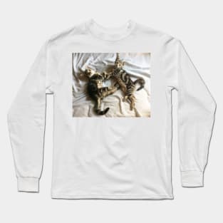 Cute Kittens Long Sleeve T-Shirt